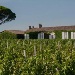 Chateau MEYNEY 2016